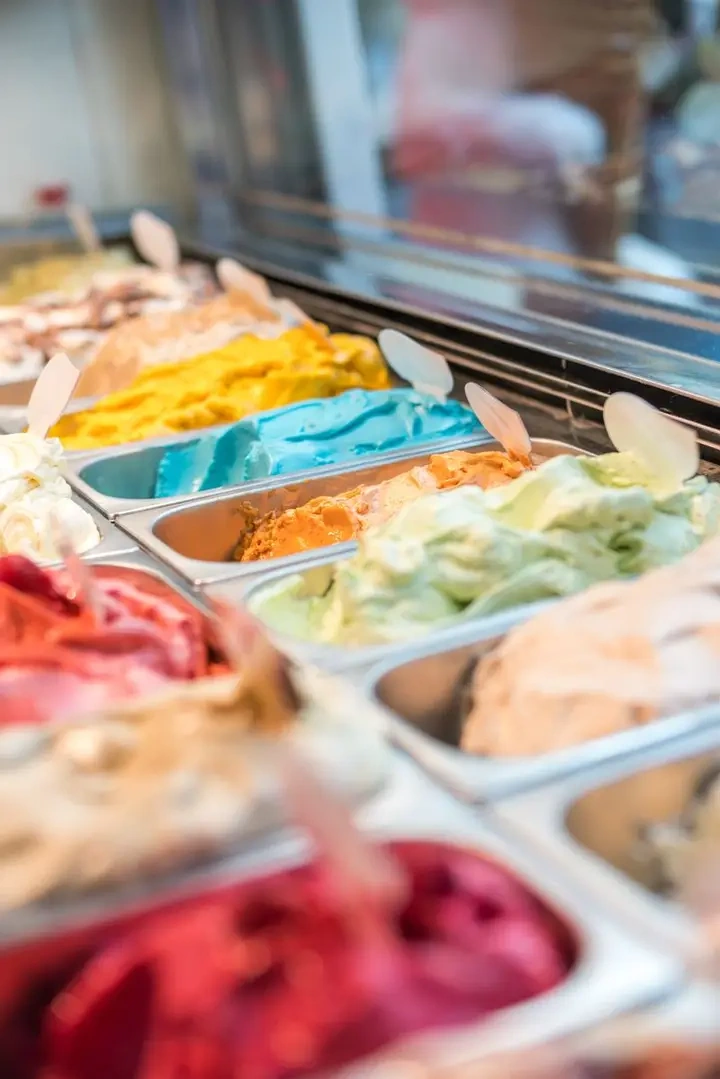 Editorial photo illustrating: Is Protein Bowl Worth It? Educational Value Ranking