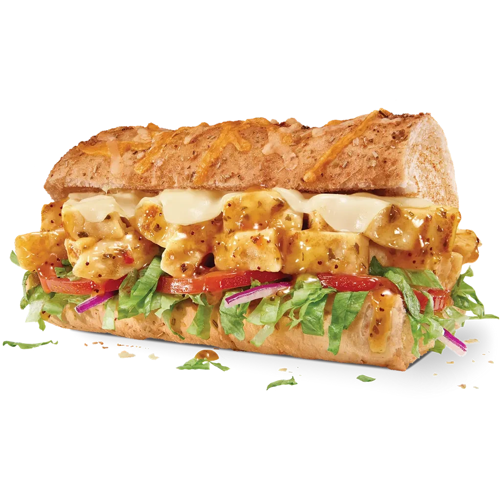 Editorial photo illustrating: $4.99 Sub of the Day Educational Notes